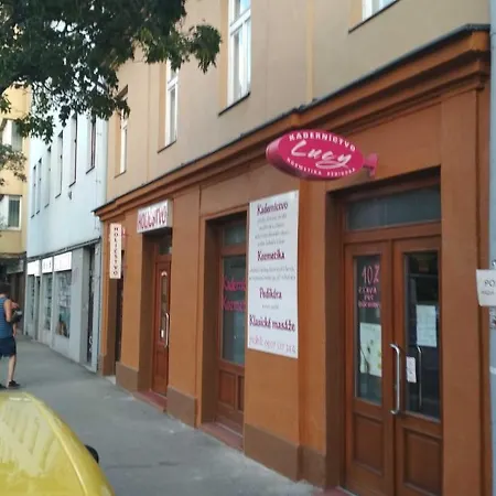 Jonas - Great Location Near Center * Pozsony